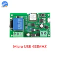 Micro USB 433MHZ