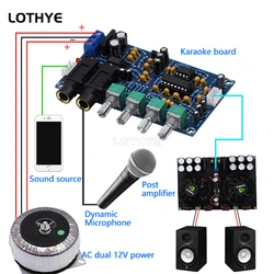 Amplificador de micrófono con eco digital para karaoke KTV HIFI