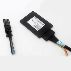 Adaptador M.2 NVMe a U.2 SFF-8643