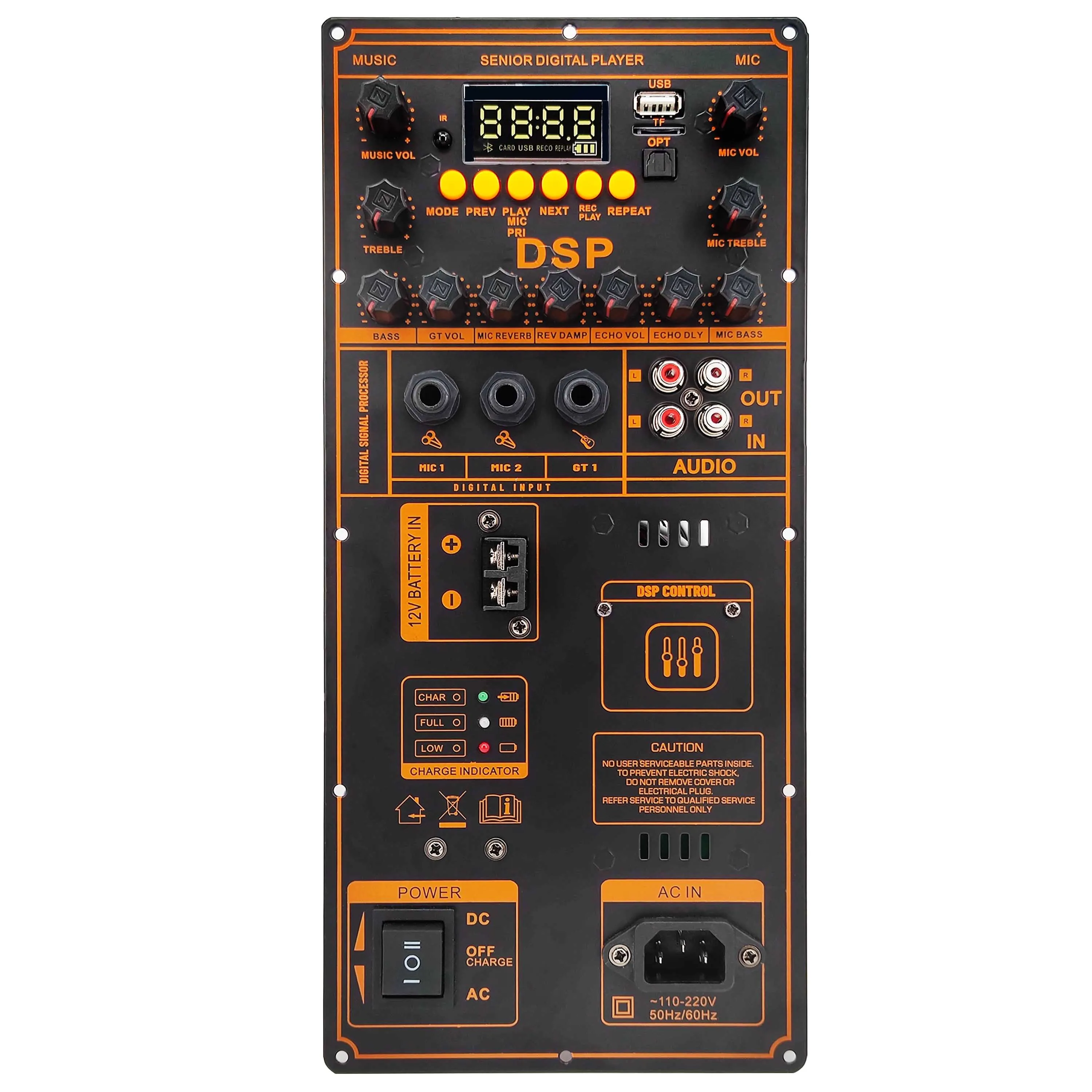 Placa amplificadora Digital con Bluetooth 220, 12/5,0 V, 2x100W, 200W, para altavoz de 8-18 pulgadas, Panel Amp con micrófono, guitarra OPT, USB IN