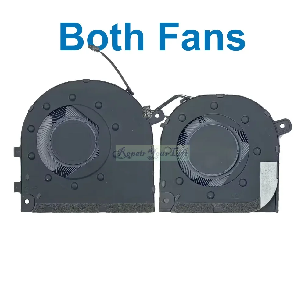 Both Fans
