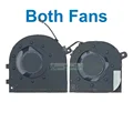 Both Fans