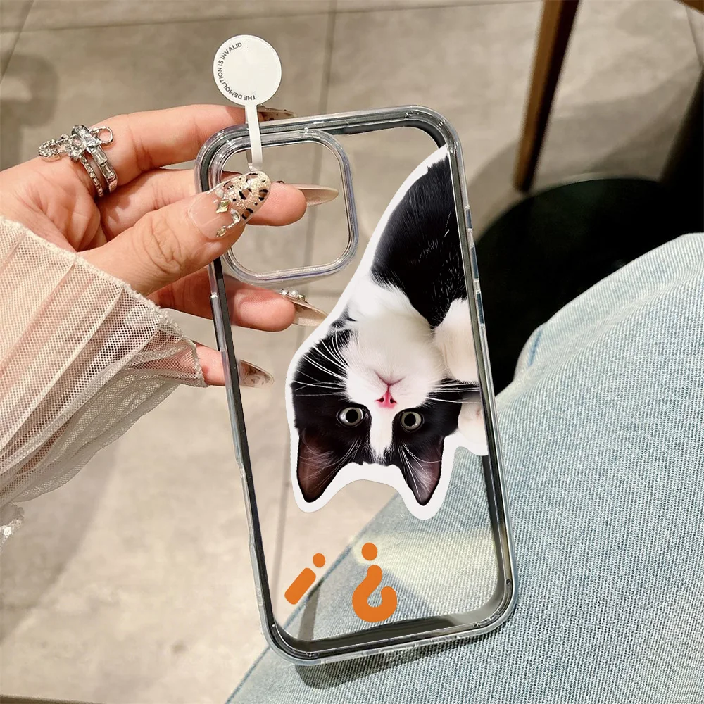 Funda de teléfono 2 en 1 de Color caramelo para iPhone 17 Pro Max 13 16 11 15 14 12 Air 17promax suave TPU transparente gato Animal Funda - imagen 4