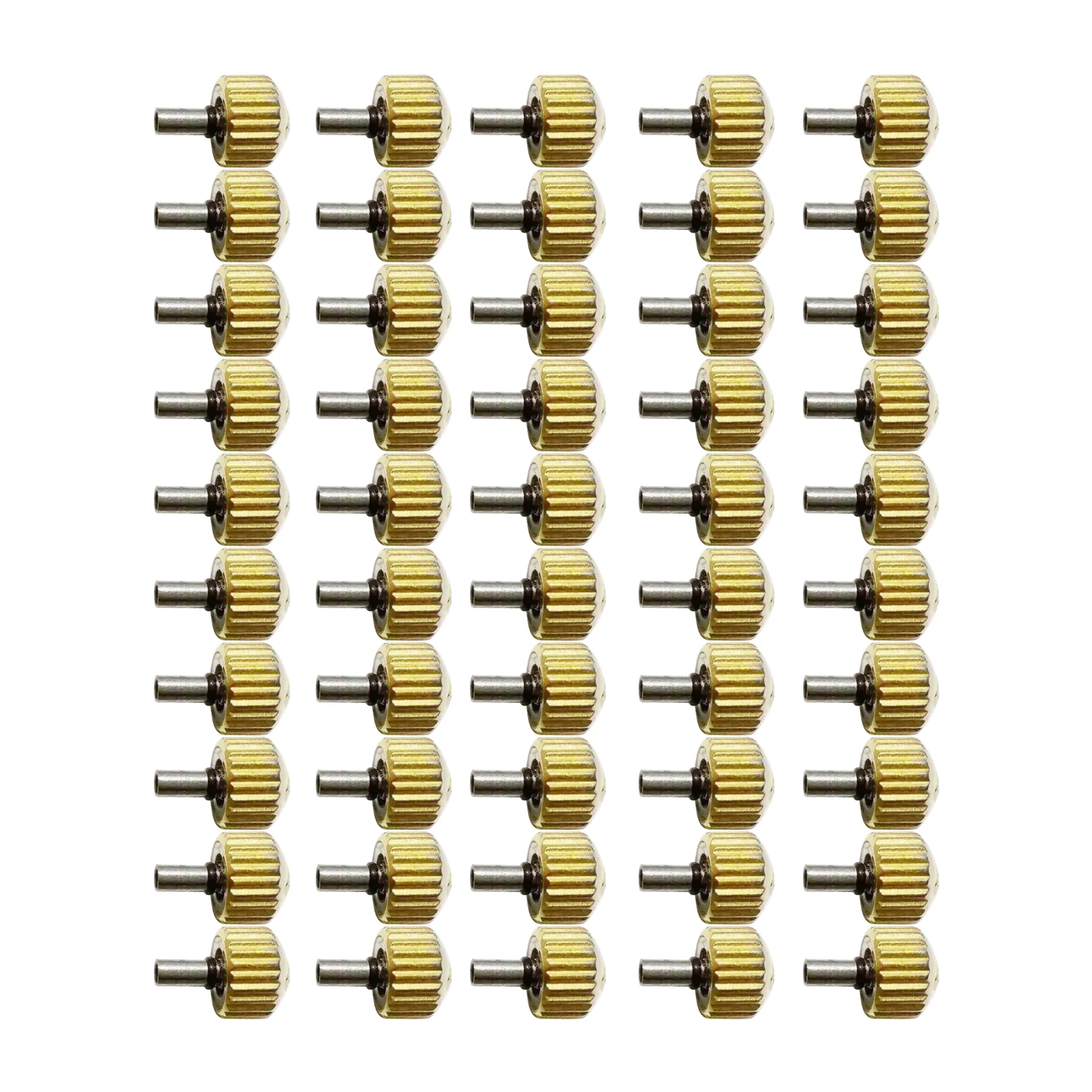 Conjunto de 50 adaptadores ordenados
