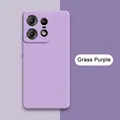 Grass Purple