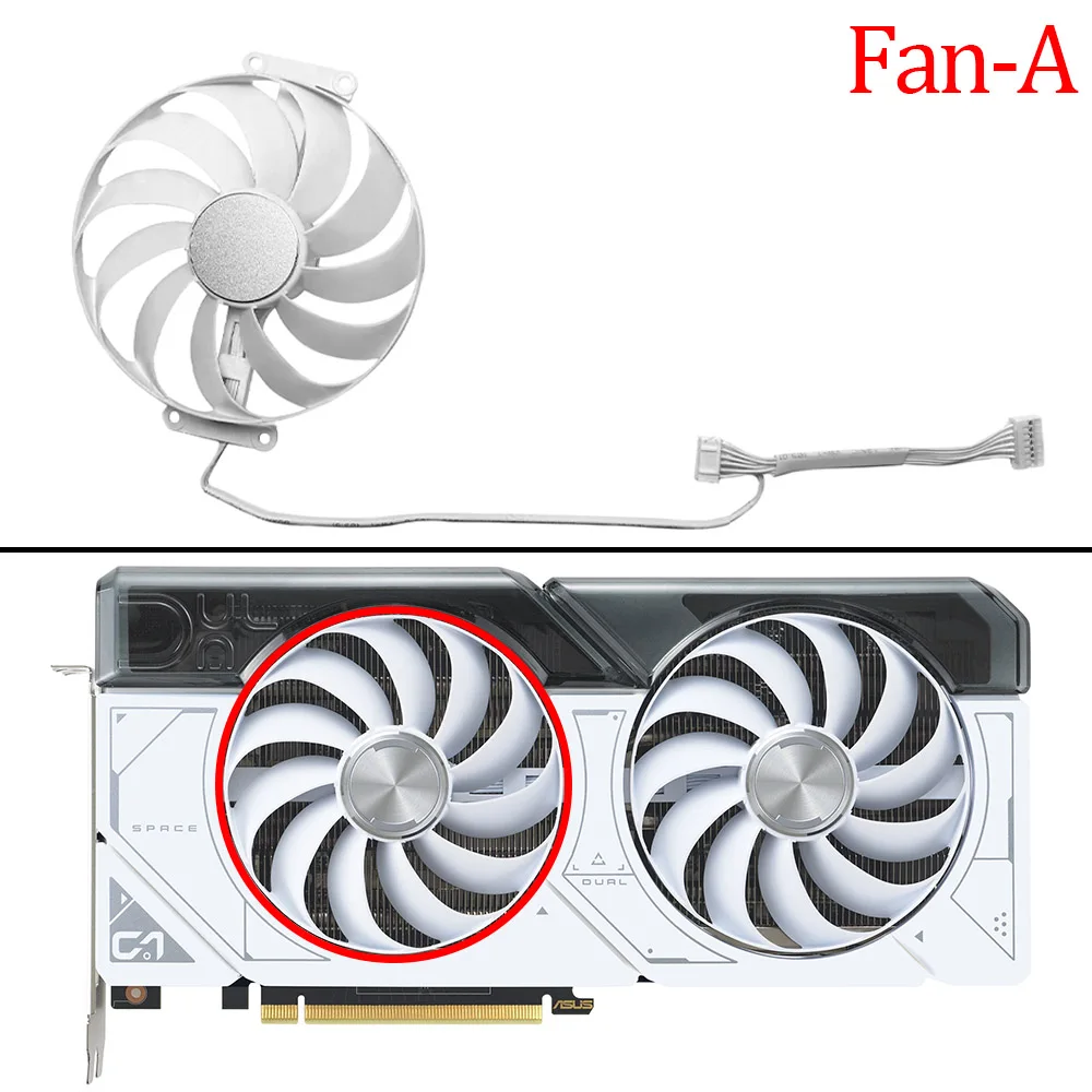 Fan - A