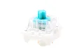 OTM GCyan Switch