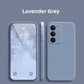 Lavender Grey