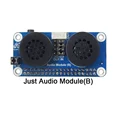 Just Audio Module