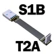 S1B-T2A