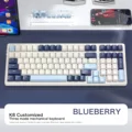 Blueberry