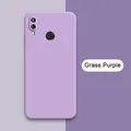 Grass Purple