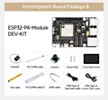 Module-DEV-KIT-B