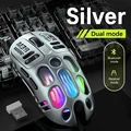 Dual Mode Silver