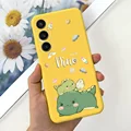 case-c60