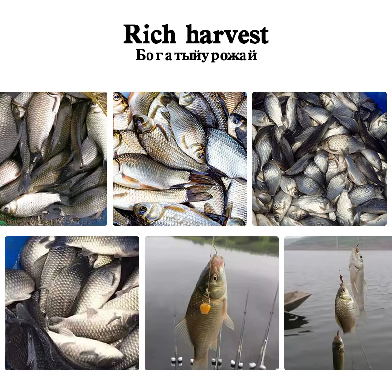 Cebo de pesca de carpa de agua dulce, señuelo aditivo en polvo, receta de Río cruciano, alimentador de pesca, cebo vivo, herramientas de pesca, 5 piezas - imagen 5