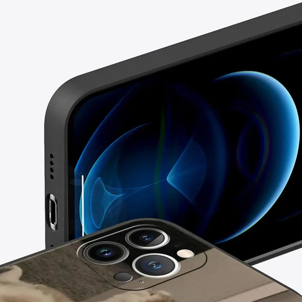 Funda de teléfono de lujo marmot para Apple iPhone 16 11 15 14 Pro MAX 12 13 7 8 Plus X XR XS SE funda negra de silicona - imagen 4