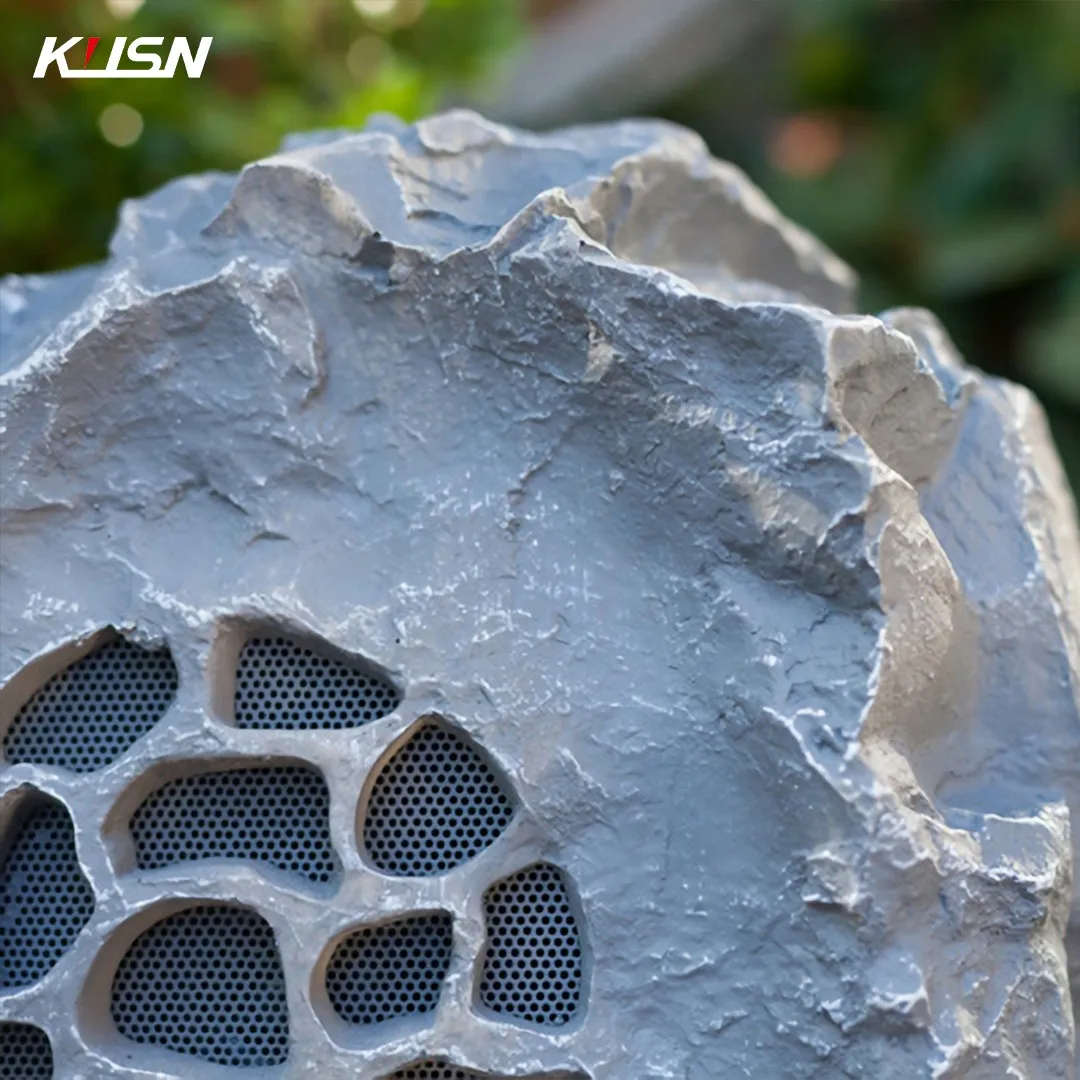 Radiodifusión Pública