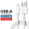 USB-A to L Cable