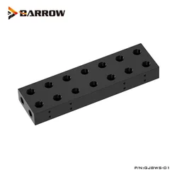 Barrow Tarjeta gráfica paralela con módulo VGA G1/4 para servidor