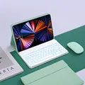 mint with mouse