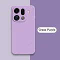 Grass Purple