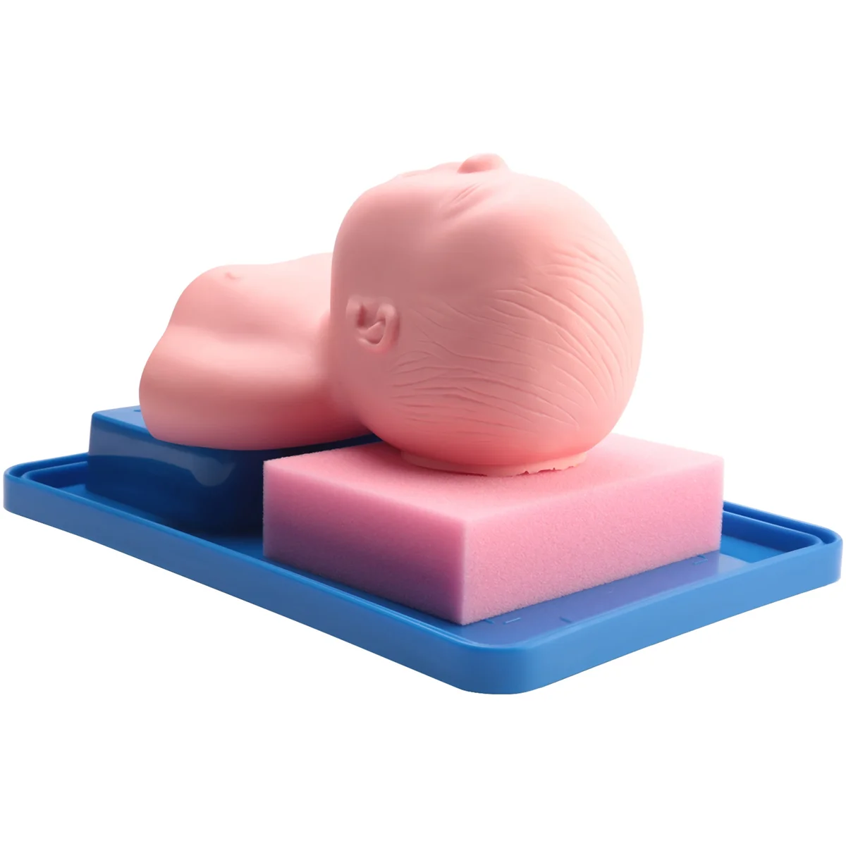 Modelo de intubación traqueal Neonatal, expansión analógica de doble pulmón y estómago, modelo de entrenamiento de intubación traqueal infantil