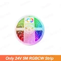 Only 24V 5M Strip