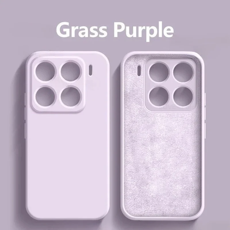 Grass purple