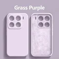Grass purple
