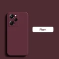 Plum Color