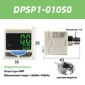 DPSP1-01050