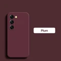 Plum