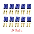 10 Male