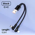 2Type C Black 0.2M