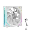 1 Fan White Forward