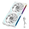 2 Fans White Forward