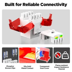 AMPCOM Conector Keystone CAT6A RJ45 UTP – Instalación Sin Herramientas