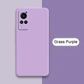 Grass Purple