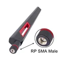 RP SMA