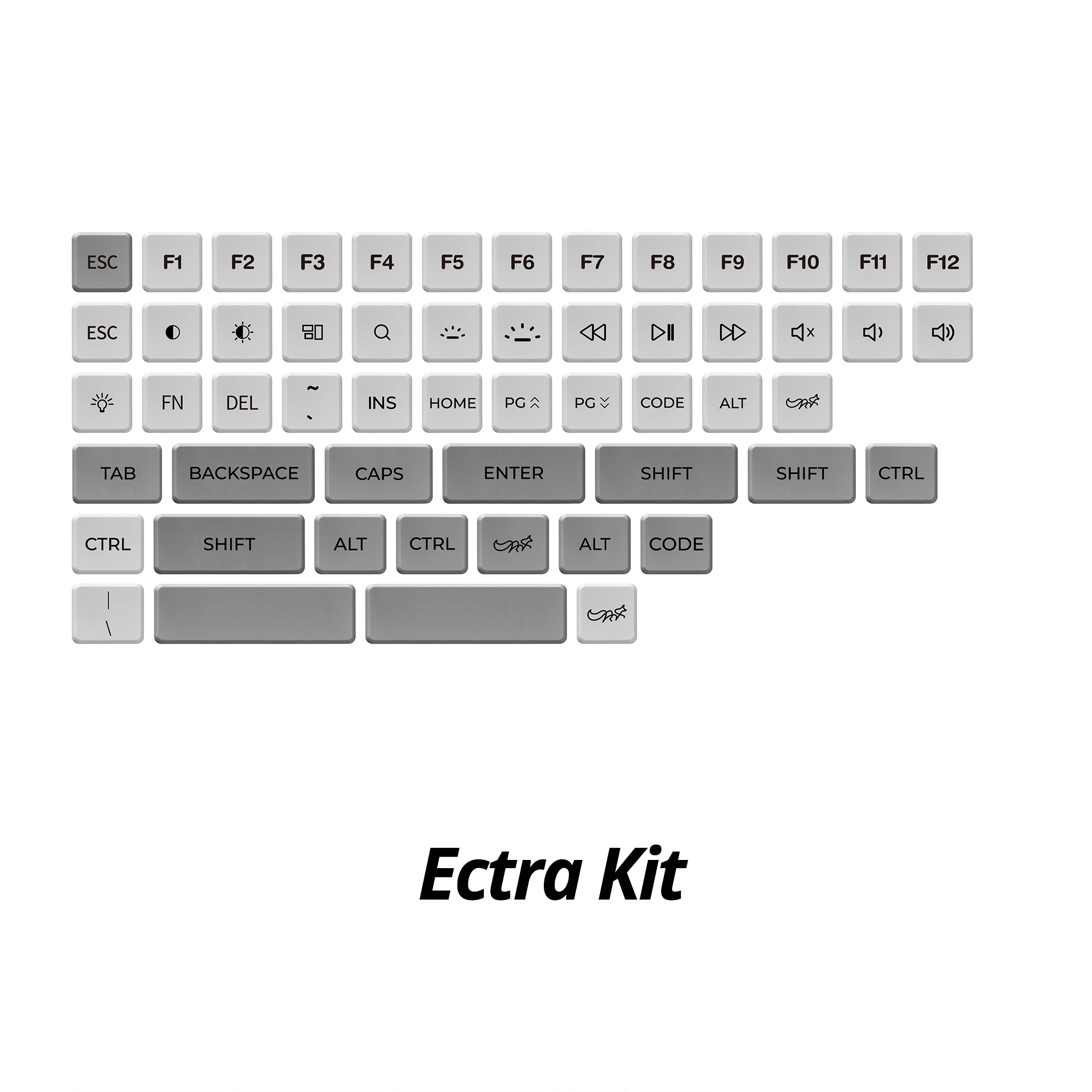 Ectra Kit