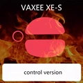 control version
