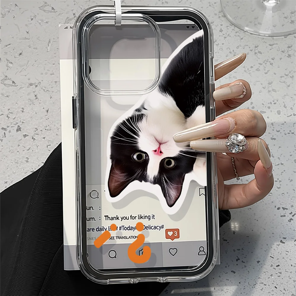 Funda de teléfono 2 en 1 de Color caramelo para iPhone 17 Pro Max 13 16 11 15 14 12 Air 17promax suave TPU transparente gato Animal Funda