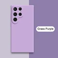 Grass Purple