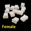 100Pcs 2Pin Female