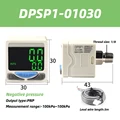 DPSP1-01030
