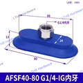 AFSF40 80 G1 4 IG