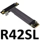 R42SL
