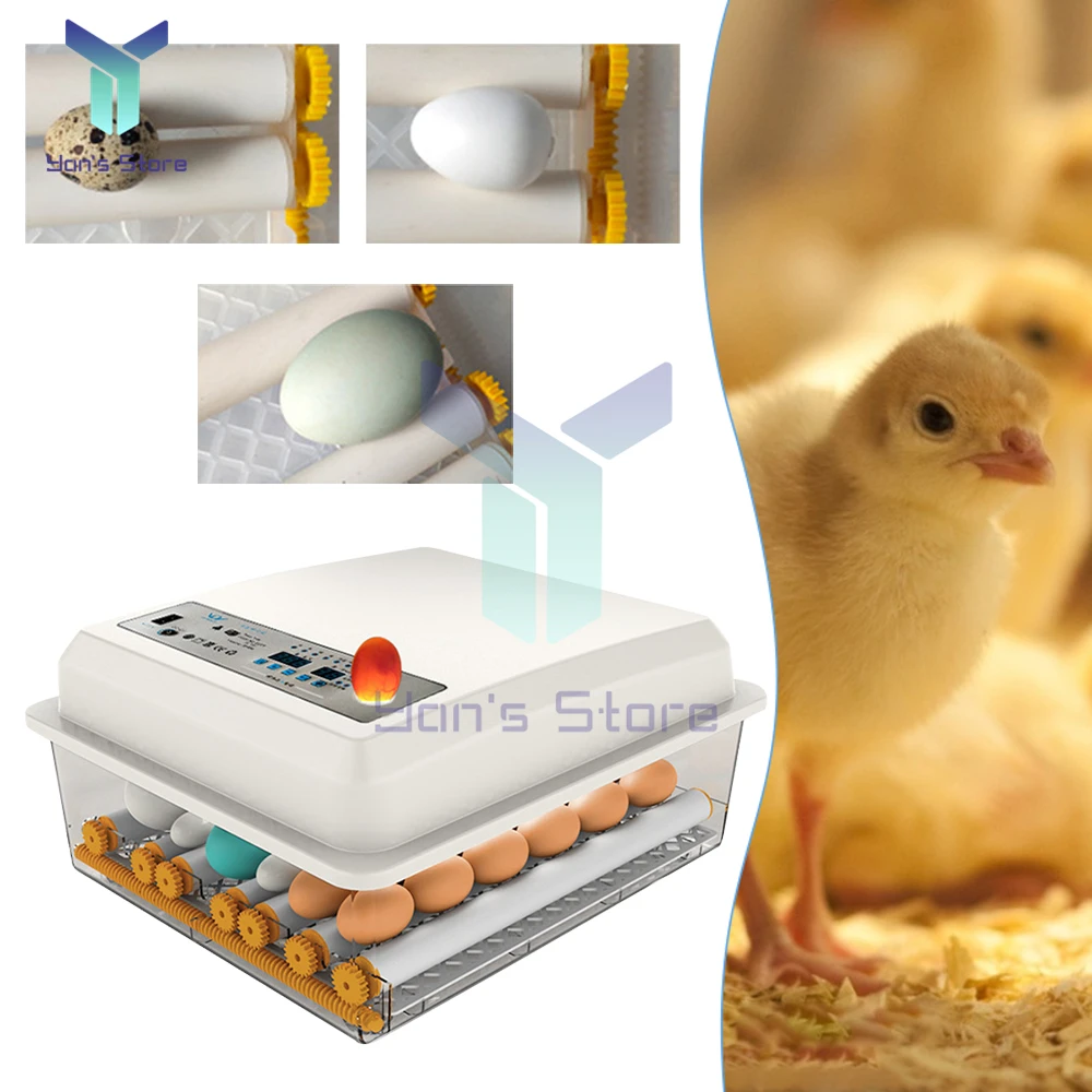 36 incubadoras de huevos pequeños para el hogar, incubadora de huevos inteligente totalmente automática para pollos, patos, gansos, palomas, aves de corral - imagen 5