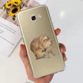 case-c48